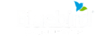 YES Card Logo